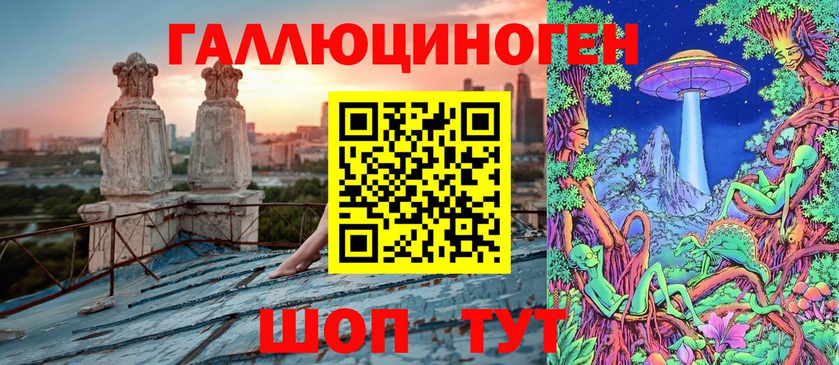 Юрга  Псилоцибиновые грибы Cubensis  Вход с VPN 